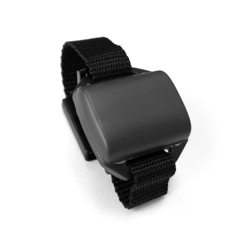 Cereda | famalux Dementen-Transponder, V420-117